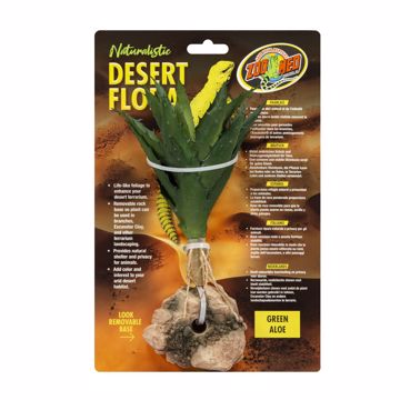 Picture of DESERT PLANT - GREEN ALOE
