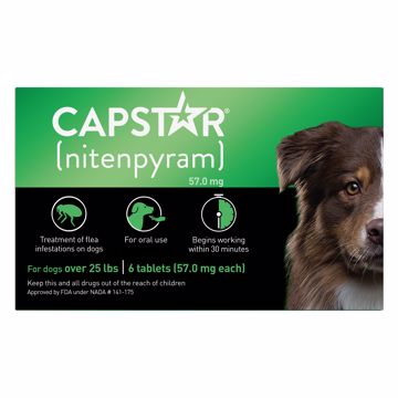 Picture of 6 CT. 26-125 LB. CAPSTAR FLEA TABLET - DOG