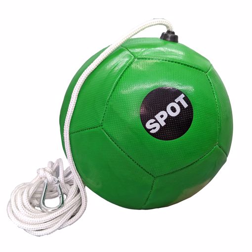 Picture of TETHER BALL WITH ROPE