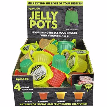 Picture of 40/.56 OZ. JELLY POTS NATURAL - NO ADDED DYE