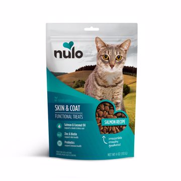 Picture of 4 OZ. SKIN & COAT FUNCTIONAL CRUNCHY CAT TREATS - SALMON
