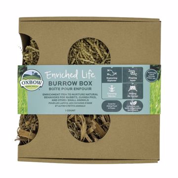 Picture of BURROW BOX