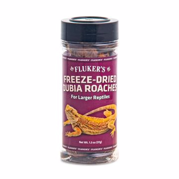 Picture of 1.3 OZ. FREEZE DRIED DUBIA ROACHES