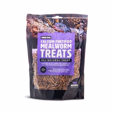 Picture of 3.75 OZ. GRUB BAG DRIED MEALWORMS FORTIFIED W/CALCIUM