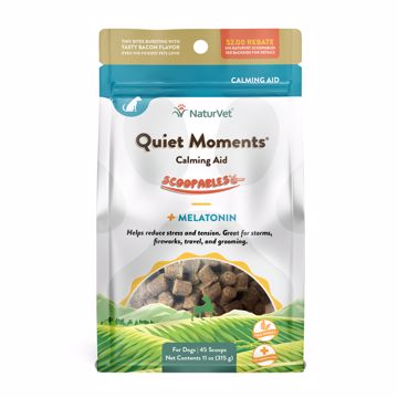 Picture of 11 OZ. SCOOPABLES - QUIET MOMENTS - DOG