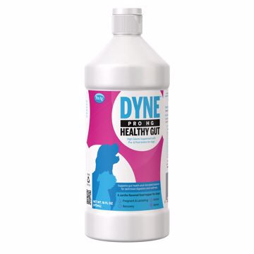 Picture of 16 OZ. DYNE PRO HG