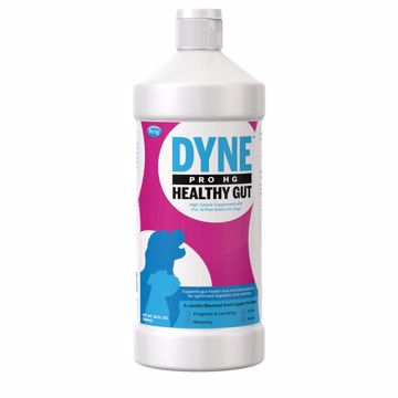 Picture of 32 OZ. DYNE PRO HG
