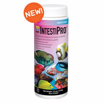 Picture of 3.5 OZ. INTESTIPRO - TREATS 200 GALLONS