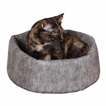 Picture of 16 X 16 IN. AMAZIN SNUGGLE CUP - GRAY