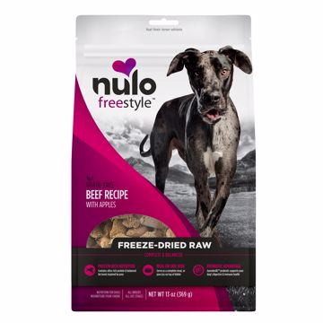 Picture of 13 OZ. FREESTYLE DOG FREEZE DRIED RAW GF - BEEF/APPLES