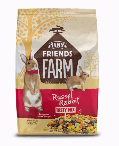 Picture of 5.5 LB. TINY FRIENDS FARM RUSSEL RABBIT