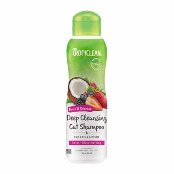 Picture of 12 OZ. E. BERRY/COCONUT CLEANSING SHAMPOO - CATS & KITTENS