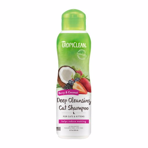 Picture of 12 OZ. E. BERRY/COCONUT CLEANSING SHAMPOO - CATS & KITTENS