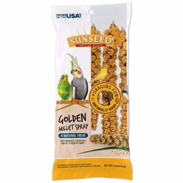 Picture of 4 OZ. SUNTHING SPECIAL GOLDEN MILLET SPRAY