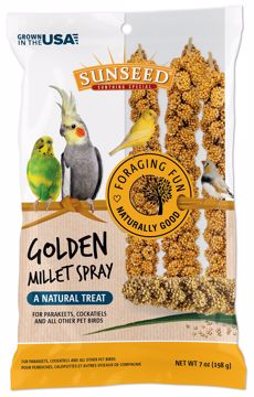 Picture of 7 OZ. SUNTHING SPECIAL GOLDEN MILLET SPRAY