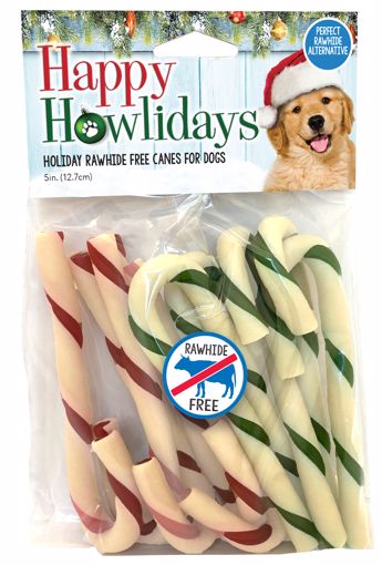 Picture of 10/5 IN. HOLIDAY RAWHIDE FREE CANES - ASST COLORS