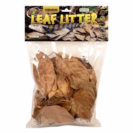 Picture of TERRARIUM LEAF LITTER - JACKFRUIT LEAF