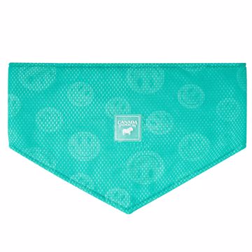 Picture of MED. CHILL SEEKER COOLING BANDANA - SMILEY