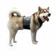 Picture of LG. COOLING VEST AND COLLAR