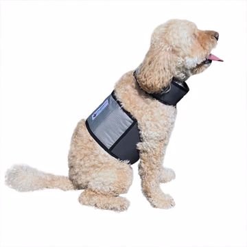 Picture of SM. COOLING VEST AND COLLAR