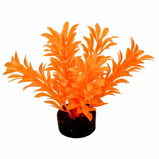 Picture of MINI NEON PLANT - ORANGE