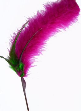 Picture of 18 IN. CATTAIL CAT TEASER