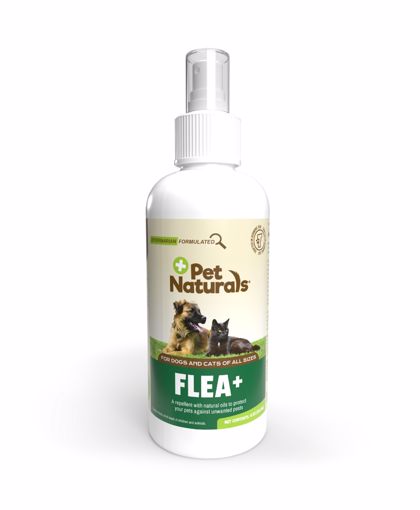 Picture of 8 OZ. PROTECT FLEA  TICK REPELLENT - DOG