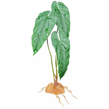 Picture of 18 IN. EMERALD VINE STANDING PLANT