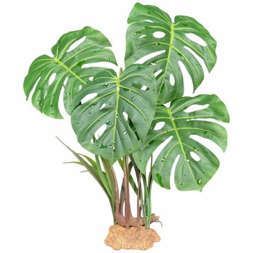 Picture of 18 IN. MONSTERA LEAF STANDING PLANT