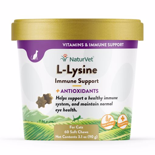 Picture of 60 CT. L-LYSINE IMMUNE SOFT CHEWS - CAT