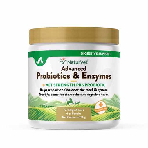 Picture of 4 OZ. ADVANCED PROBIOTICS & ENZYMES POWDER