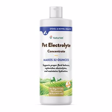 Picture of 16 OZ. ELECTROLYTES - DOG/CAT