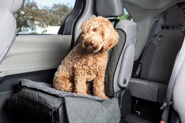 Picture of 44X35 IN. DIRTY DOG CAR SINGLE SEAT COVER/HAMMOCK - GREY