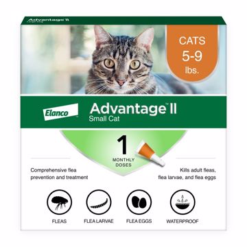 Picture of ADVANTAGE II SMALL CAT 1 PK. SPOT ON - 5 TO 9 LB.