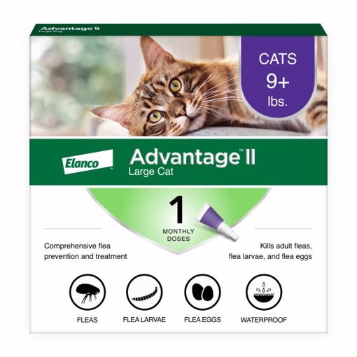 Picture of ADVANTAGE II LARGE CAT 1 PK. SPOT ON - OVER 9 LB.