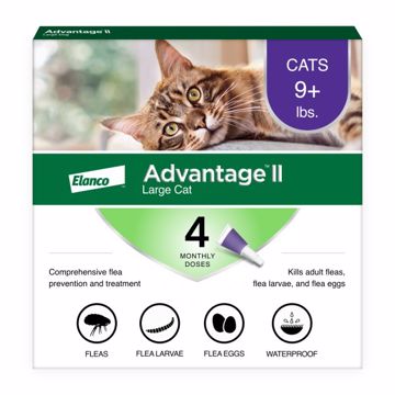 Picture of ADVANTAGE II LARGE CAT 4 PK. SPOT ON - OVER 9 LB.