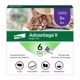 Picture of ADVANTAGE II LARGE CAT 6 PK. SPOT ON - OVER 9 LB.