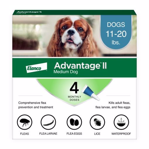 Picture of ADVANTAGE II MEDIUM DOG 4 PK. SPOT ON - 11 TO 20 LB.