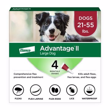 Picture of ADVANTAGE II LARGE DOG 4 PK. SPOT ON - 21 TO 55 LB.