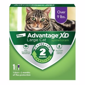 Picture of ADVANTAGE XD LARGE CAT 1 PK. SPOT ON - OVER 9 LB.