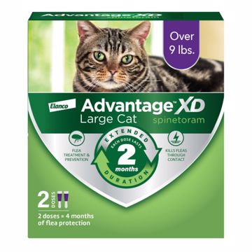 Picture of ADVANTAGE XD LARGE CAT 2 PK. SPOT ON - OVER 9 LB.