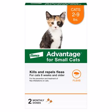 Picture of ADVANTAGE SMALL CAT 2 PK. SPOT ON - 2 TO 9 LB.