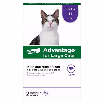 Picture of ADVANTAGE LARGE CAT 2 PK. SPOT ON - OVER 9 LB.