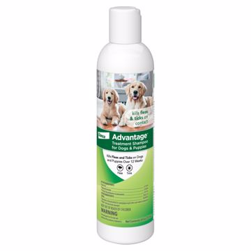 Picture of 8 OZ. ADVANTAGE F/T TREATMENT SHAMPOO FOR DOGS/PUPPIES