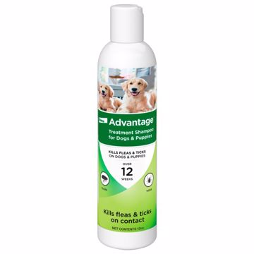 Picture of 12 OZ. ADVANTAGE F/T TREATMENT SHAMPOO FOR DOGS/PUPPIES