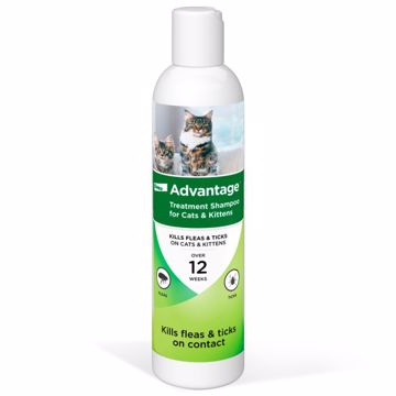 Picture of 8 OZ. ADVANTAGE F/T TREATMENT SHAMPOO FOR CATS/KITTENS