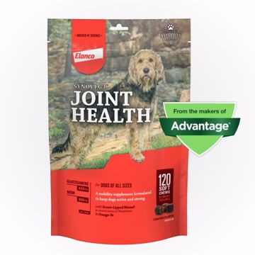 Picture of 120 CT. SYNOVI G3 MOBILITY SUPPLEMENT SOFT CHEWS FOR DOGS