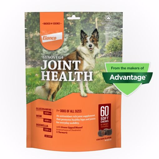 Picture of 60 CT. SYNOVI G4 HIP/JOINT SUPPLEMENT SOFT CHEWS FOR DOGS