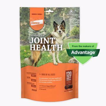 Picture of 120 CT. SYNOVI G4 HIP/JOINT SUPPLEMENT SOFT CHEWS FOR DOGS