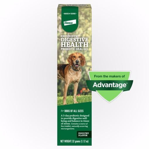 Picture of 32 G. ENDUROSYN CANINE DIGESTIVE HEALTH PROBIOTIC ORAL GEL